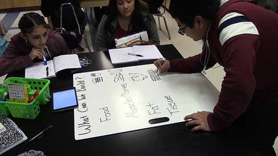 using whiteboards classroom ex