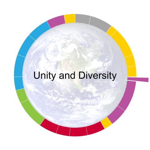 pacing-guide-wheel-for-unity-and-diversity-the-fifth-unit-of-the-year