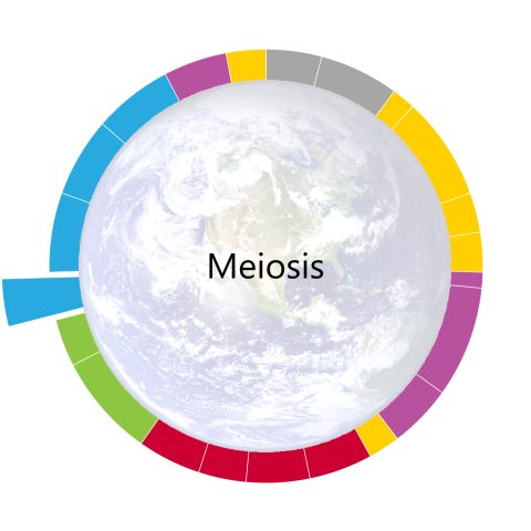 pacing-guide-wheel-for-meiosis-the-fifteenth-unit-of-the-year