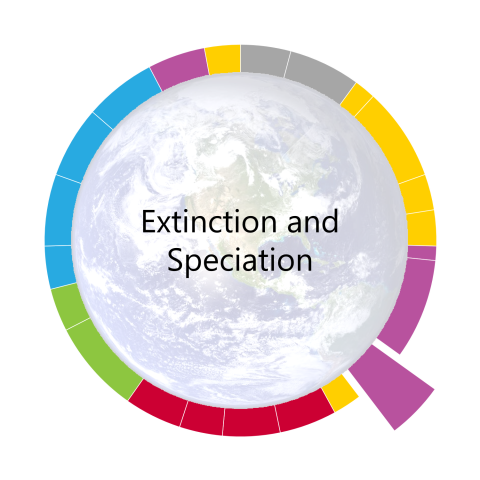 pacing-guide-wheel-for-extinction-and-speciation-the-seventh-unit-of-the-year