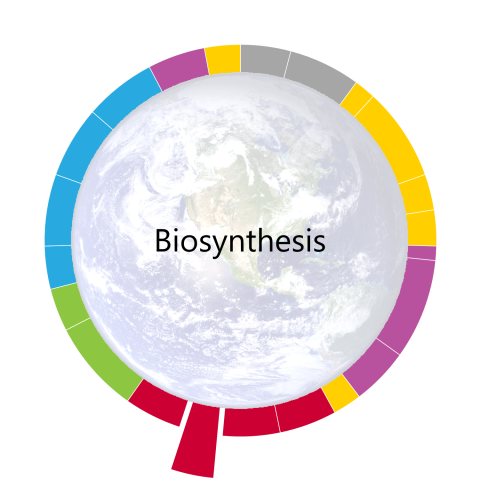 pacing-guide-wheel-for-biosynthesis-the-eleventh-unit-of-the-year