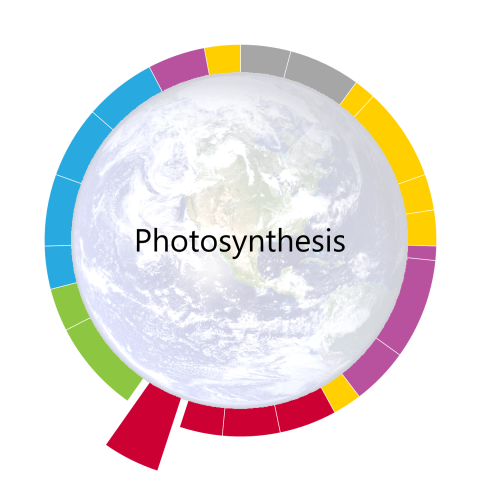 pacing-guide-wheel-for-photosynthesis-the-twelfth-unit-of-the-year