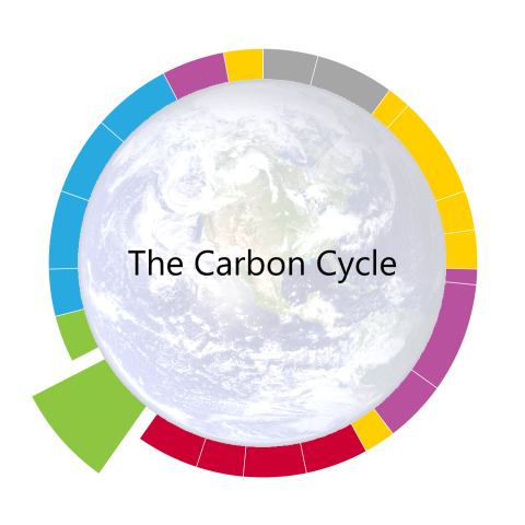 pacing-guide-wheel-for-the-carbon-cycle-the-thirteenth-unit-of-the-year