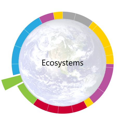 pacing-guide-wheel-for-ecosystems-the-fourteenth-unit-of-the-year