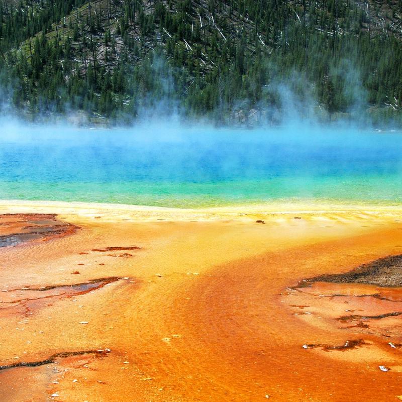 grand prismatic spring in yellowstone