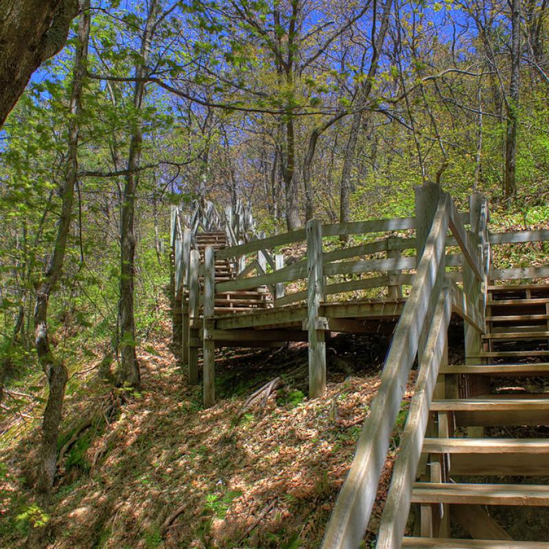 porcupine-mountain-steps-up-to-platform