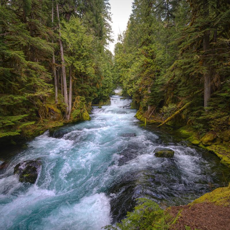 McKenzie River Central Oregon