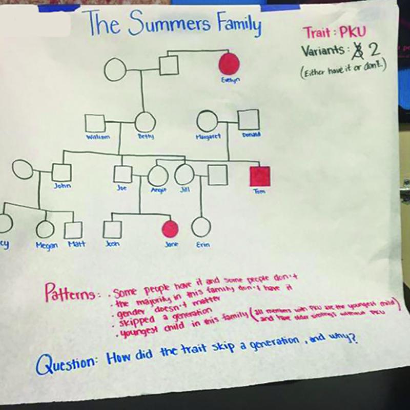 student-pedigree